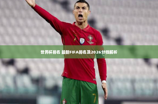 世界杯排名 最新FIFA排名及2026分档解析-第3张图片-体育博彩