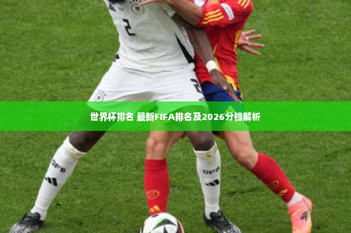 世界杯排名 最新FIFA排名及2026分档解析-第4张图片-体育博彩