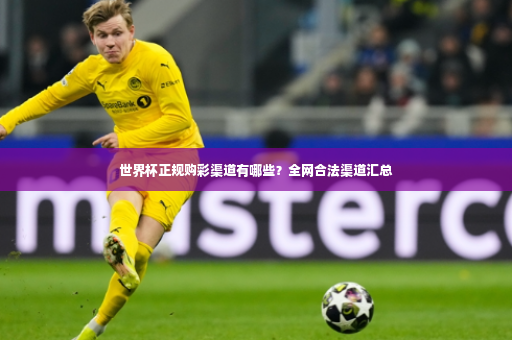 世界杯正规购彩渠道有哪些？全网合法渠道汇总-第2张图片-体育博彩