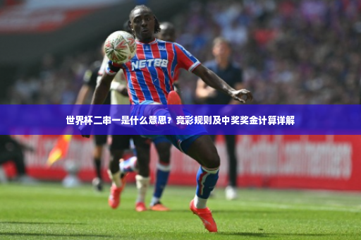 世界杯二串一是什么意思？竞彩规则及中奖奖金计算详解-第3张图片-体育博彩