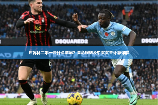 世界杯二串一是什么意思？竞彩规则及中奖奖金计算详解