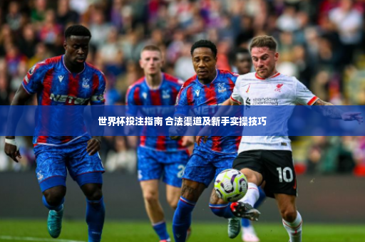 世界杯投注指南 合法渠道及新手实操技巧-第3张图片-体育博彩