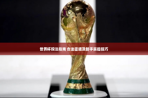 世界杯投注指南 合法渠道及新手实操技巧-第4张图片-体育博彩