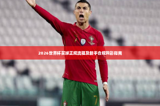 2026世界杯买球正规流程及新手合规购彩指南-第4张图片-体育博彩