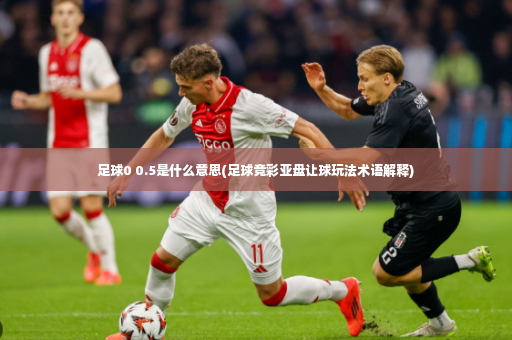 足球0 0.5是什么意思(足球竞彩亚盘让球玩法术语解释)-第3张图片-体育博彩