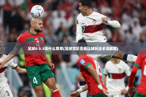 足球0 0.5是什么意思(足球竞彩亚盘让球玩法术语解释)-第4张图片-体育博彩