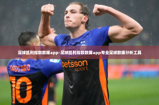 足球凯利指数数据app-足球凯利指数数据app专业足球数据分析工具-第1张图片-体育博彩
