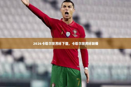 2026卡塔尔世界杯下载，卡塔尔世界杯转播-第2张图片-体育博彩