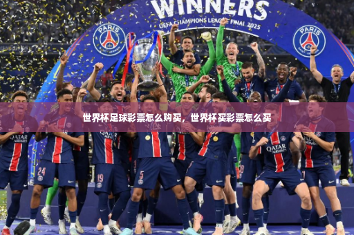 世界杯足球彩票怎么购买，世界杯买彩票怎么买-第4张图片-体育博彩