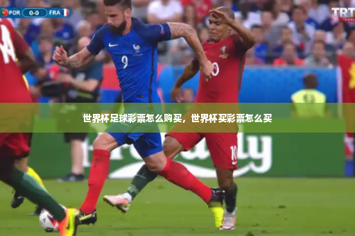 世界杯足球彩票怎么购买，世界杯买彩票怎么买