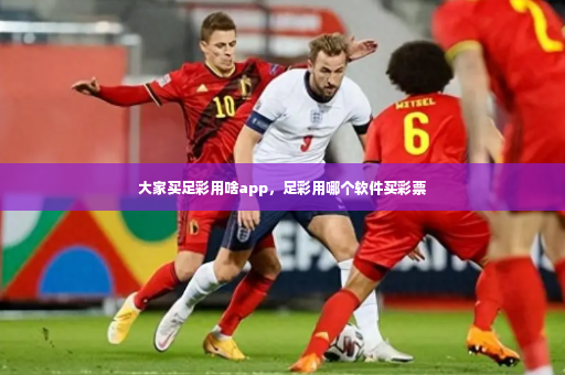 大家买足彩用啥app，足彩用哪个软件买彩票-第3张图片-体育博彩