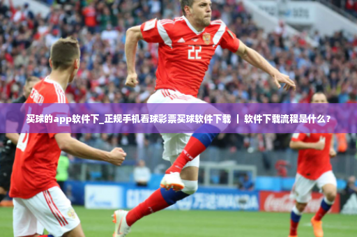 买球的app软件下_正规手机看球彩票买球软件下载 ｜ 软件下载流程是什么？