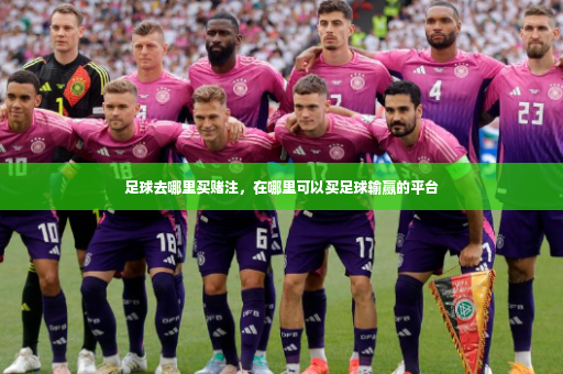 足球去哪里买赌注，在哪里可以买足球输赢的平台-第4张图片-体育博彩