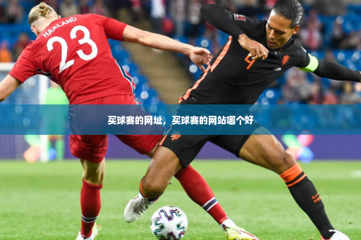 买球赛的网址，买球赛的网站哪个好-第2张图片-体育博彩