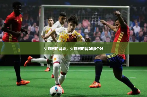 买球赛的网址，买球赛的网站哪个好-第3张图片-体育博彩