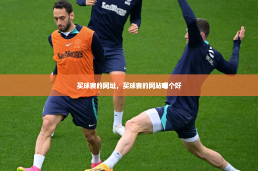 买球赛的网址，买球赛的网站哪个好-第4张图片-体育博彩