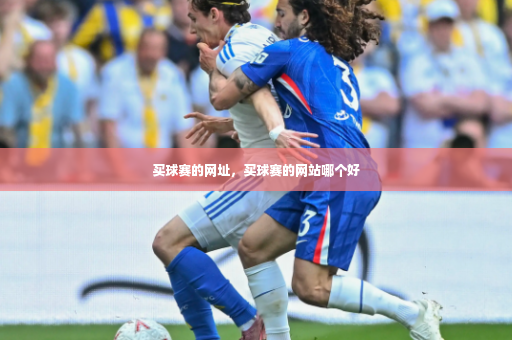 买球赛的网址，买球赛的网站哪个好