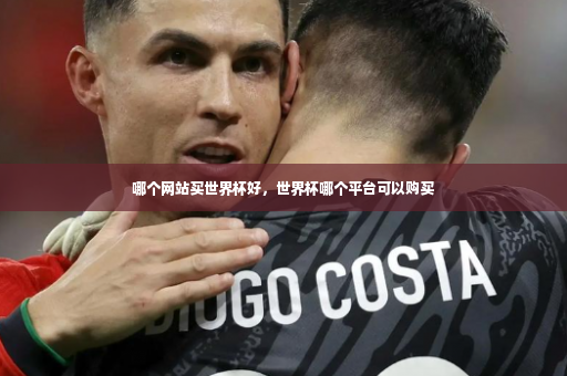 哪个网站买世界杯好,世界杯哪个平台可以购买-第2张图片-体育博彩 哪个网站买世界杯好,世界杯哪个平台可以购买-第2张图片-体育博彩