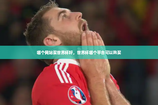 哪个网站买世界杯好,世界杯哪个平台可以购买-第4张图片-体育博彩 哪个网站买世界杯好,世界杯哪个平台可以购买-第4张图片-体育博彩