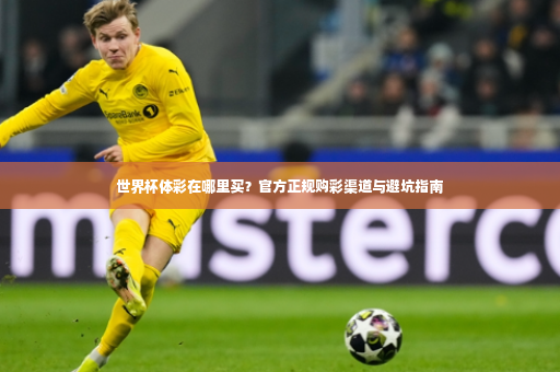 世界杯体彩在哪里买？官方正规购彩渠道与避坑指南-第2张图片-体育博彩