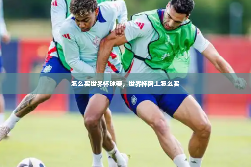 怎么买世界杯球赛，世界杯网上怎么买-第3张图片-体育博彩