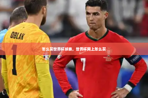 怎么买世界杯球赛，世界杯网上怎么买-第4张图片-体育博彩