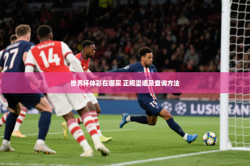世界杯体彩在哪买 正规渠道及查询方法