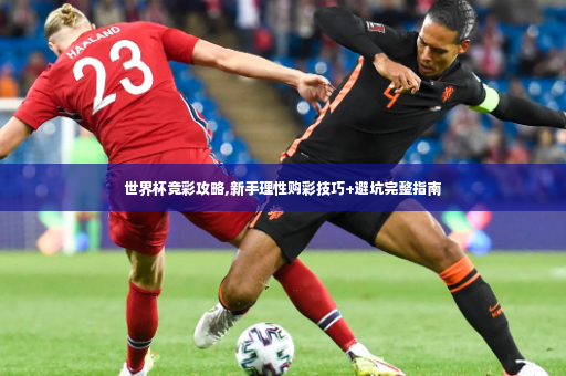 世界杯竞彩攻略,新手理性购彩技巧+避坑完整指南-第3张图片-体育博彩