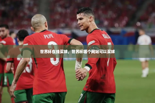 世界杯在线买球，世界杯哪个网站可以买球