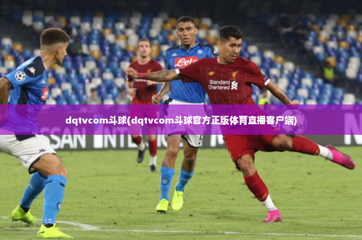 dqtvcom斗球(dqtvcom斗球官方正版体育直播客户端)-第3张图片-体育博彩