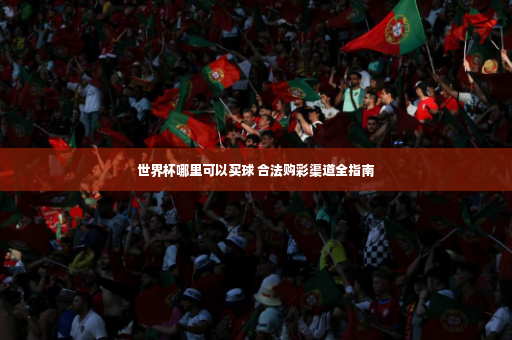 世界杯哪里可以买球 合法购彩渠道全指南-第2张图片-体育博彩
