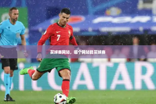 买球赛网站,哪个网站能买球赛-第2张图片-体育博彩 买球赛网站,哪个网站能买球赛-第2张图片-体育博彩
