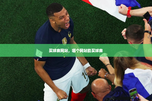 买球赛网站，哪个网站能买球赛