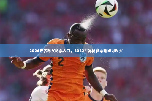 2026世界杯买彩票入口，2022世界杯彩票哪里可以买