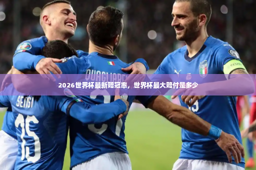 2026世界杯最新赔冠率，世界杯最大赔付是多少-第3张图片-体育博彩