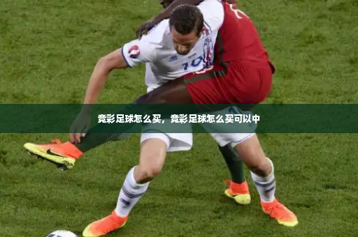 竞彩足球怎么买,竞彩足球怎么买可以中-第3张图片-体育博彩 竞彩足球怎么买,竞彩足球怎么买可以中-第3张图片-体育博彩