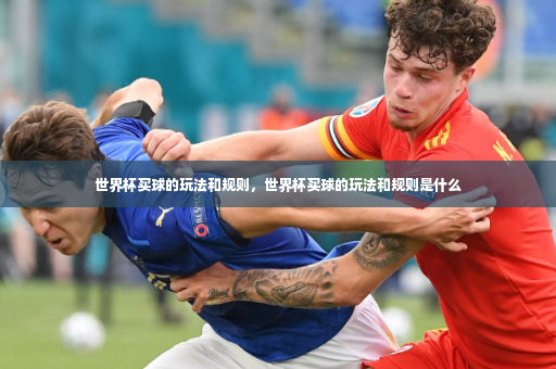 世界杯买球的玩法和规则，世界杯买球的玩法和规则是什么-第3张图片-体育博彩