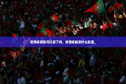 世界杯现在可以买了吗,世界杯能买什么彩票_-第2张图片-体育博彩 世界杯现在可以买了吗,世界杯能买什么彩票_-第2张图片-体育博彩