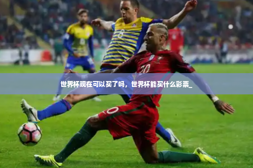 世界杯现在可以买了吗，世界杯能买什么彩票_-第3张图片-体育博彩