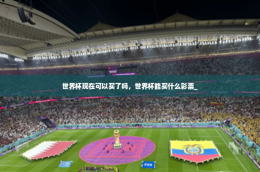 世界杯现在可以买了吗，世界杯能买什么彩票_-第4张图片-体育博彩