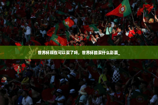 世界杯现在可以买了吗，世界杯能买什么彩票_