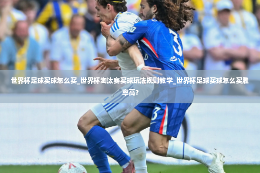 世界杯足球买球怎么买_世界杯淘汰赛买球玩法规则教学_世界杯足球买球怎么买胜率高？-第2张图片-体育博彩