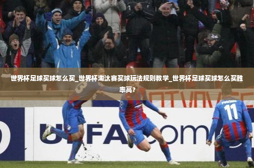 世界杯足球买球怎么买_世界杯淘汰赛买球玩法规则教学_世界杯足球买球怎么买胜率高？-第3张图片-体育博彩