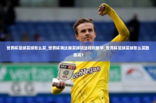 世界杯足球买球怎么买_世界杯淘汰赛买球玩法规则教学_世界杯足球买球怎么买胜率高？-第4张图片-体育博彩