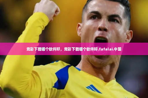 竞彩下载哪个软件好，竞彩下载哪个软件好.fafalai.中国-第4张图片-体育博彩