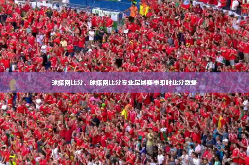 球探网比分、球探网比分专业足球赛事即时比分数据-第4张图片-体育博彩