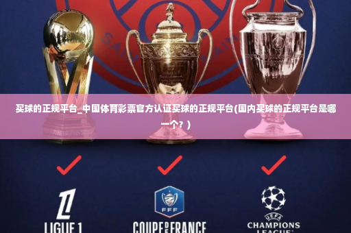 买球的正规平台_中国体育彩票官方认证买球的正规平台(国内买球的正规平台是哪一个？)-第3张图片-体育博彩