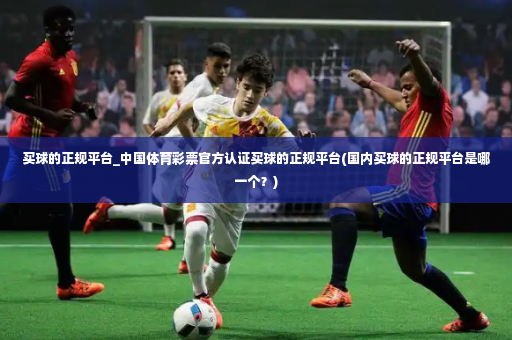 买球的正规平台_中国体育彩票官方认证买球的正规平台(国内买球的正规平台是哪一个？)