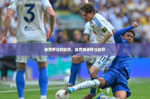 体育押注的软件，体育赛事押注软件-第2张图片-体育博彩