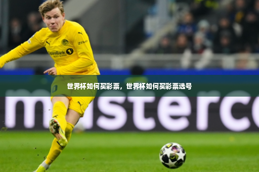 世界杯如何买彩票，世界杯如何买彩票选号-第2张图片-体育博彩